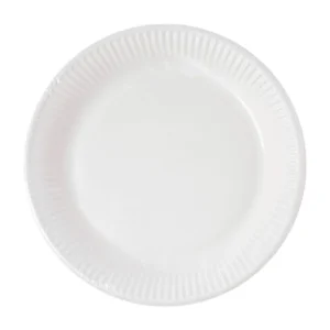 Assiettes en carton home compostable pour fête blanches