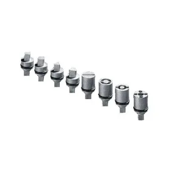 RITTAL 2466000 Schlosseinsatz fuer Schaltschrank/Gehause
