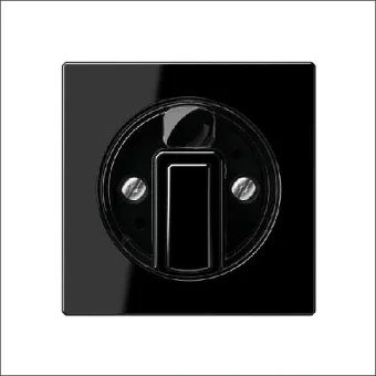 JUNG A1541SW Bedienelement / Zentralplatte Schalterprogramm 55 mm