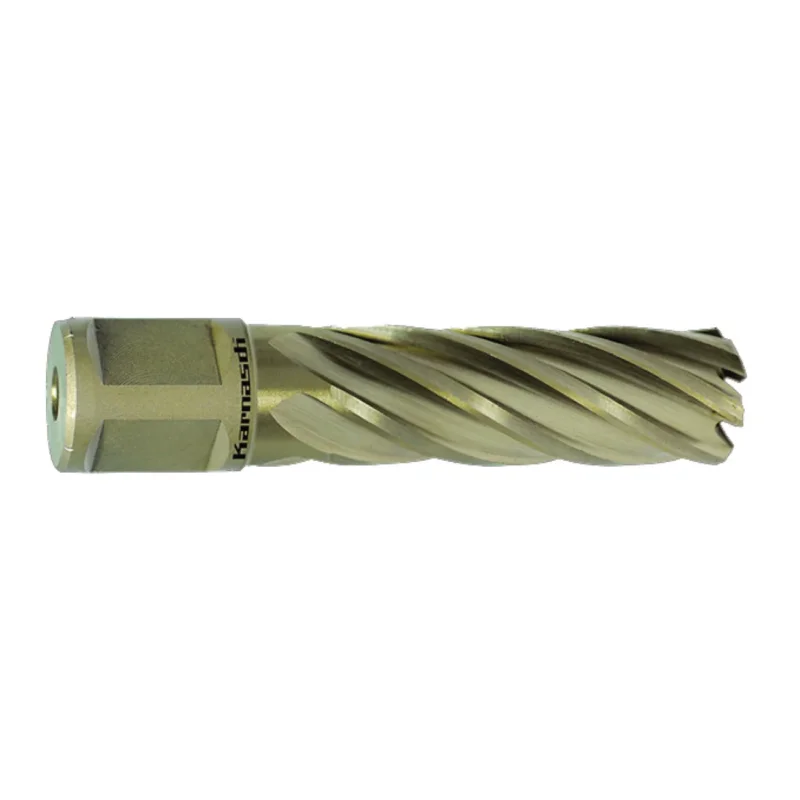 Produktbild von Kernbohrer GOLD-LINE 55 Weldon, Ø 57 mm
