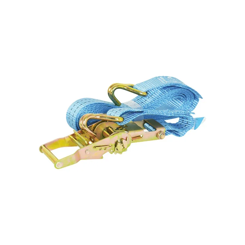 Carpoint, Spanngurt mit Haken, 5m