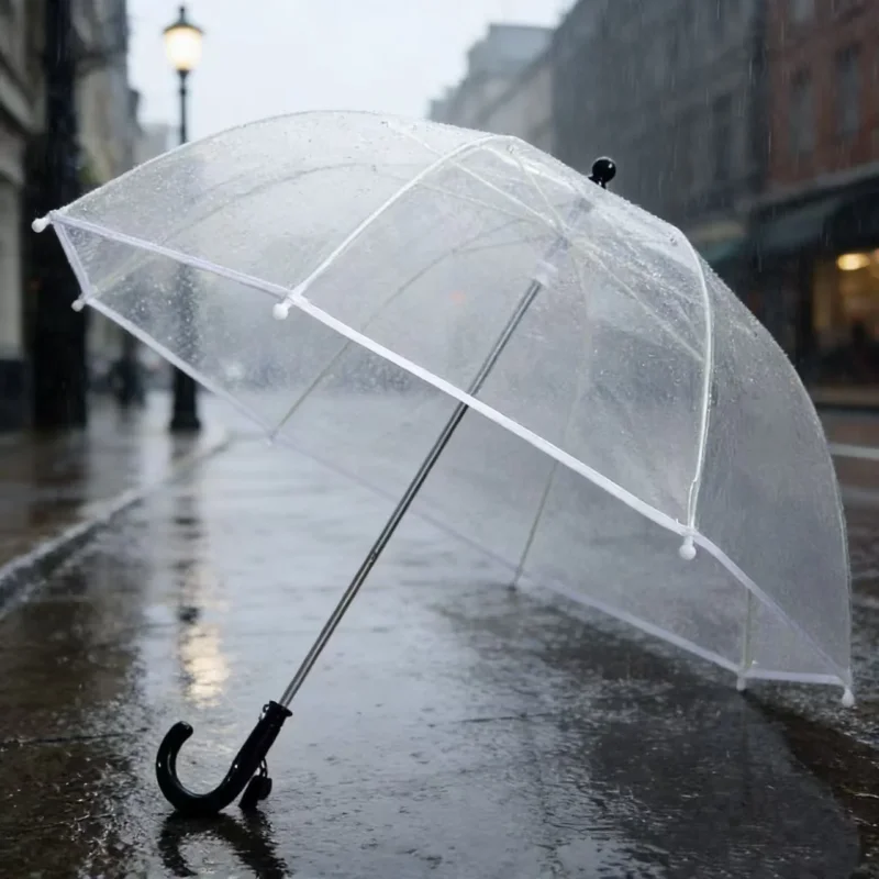 Damen Regenbogen Regenschirm Karnz