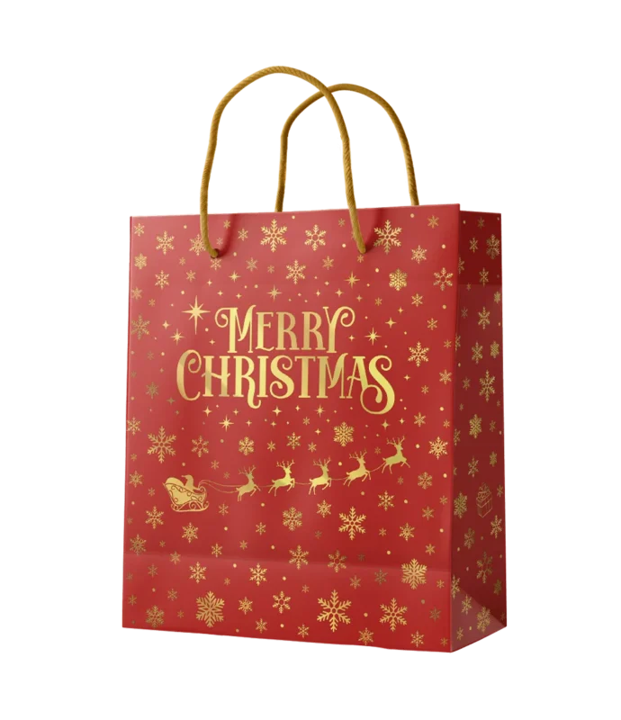 Cadeautas M - Merry Christmas Rood van Paper Dreams koop je bij Partywinkel