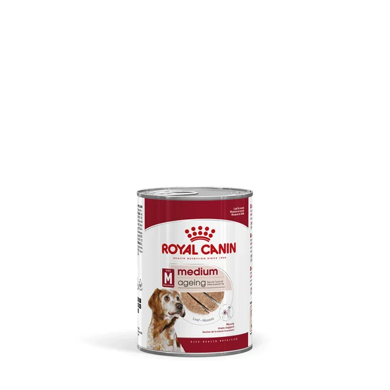 Royal Canin Hund MEDIUM Ageing Feuchtnahrung als Mousse (>7. Lebensjahr), 12 x 410 g